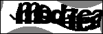 متن برای شناسایی
